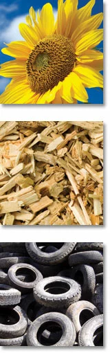 Biomass Images, Sunflower, Wood Chips, Tires